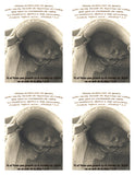 I believe in the goodness of God - POST CARD - Digital Version