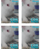 Do all with love - POST CARD - Digital Version - SEND / YOU CAN PRINT AT HOME