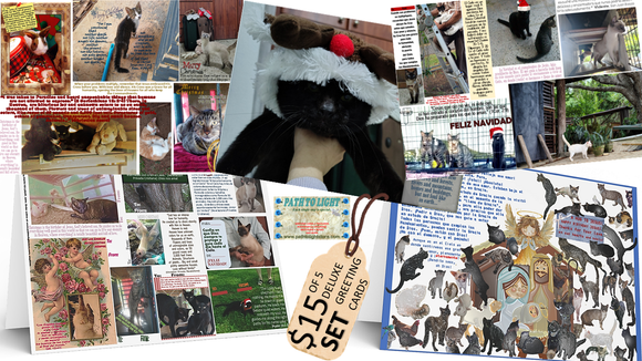 Set of 5 DELUXE CHRISTIAN CHRISTMAS GREETING CARDS - One of the cards have a WORD SEARCH, inside!!! - PATH TO LIGHT