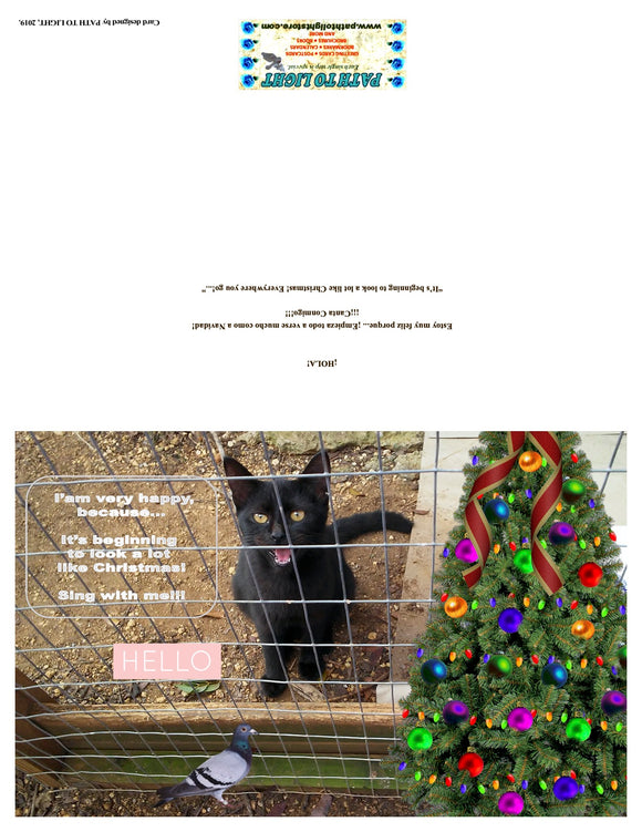 It’s beginning to look a lot like Christmas - GREETING CARD - Digital Version - SEND / YOU CAN PRINT AT HOME this funny cat singing a Christmas Song!