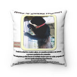 "GRANDPARENTS DAY"  Cushion COVER - Awesome message of love to God and grandparents!