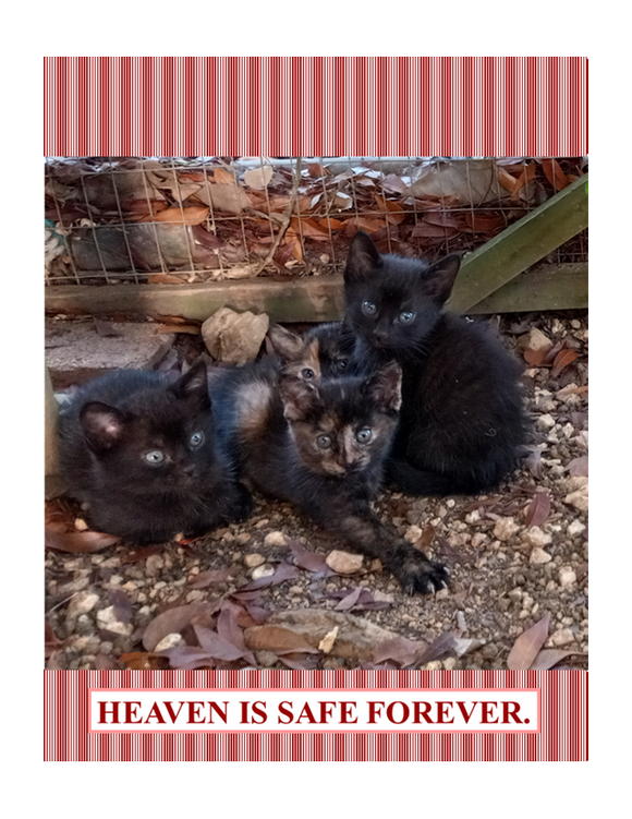 Heaven is safe forever - POST CARD