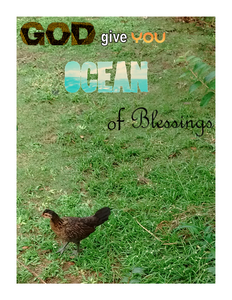 Ocean of blessings - POST CARD