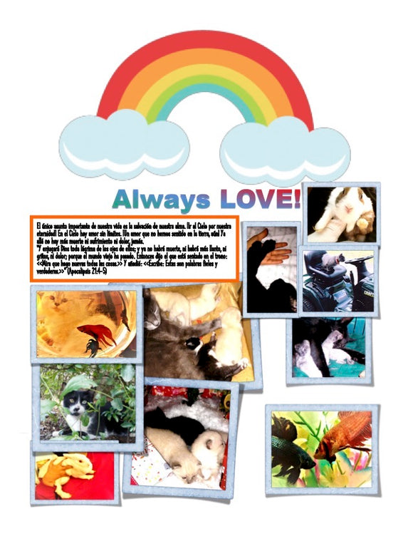 Forever love! - POST CARD - It is a very special pretty awesome gift to your family, friends, coworkers...! Buy now!