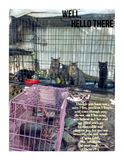 Well, hello there - POST CARD - Digital Version - SEND / YOU CAN PRINT AT HOME