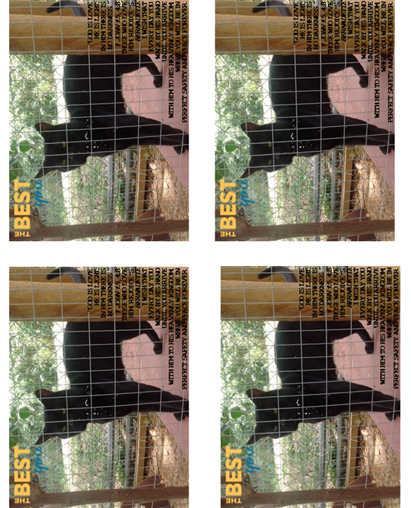 Perfect safe - POST CARD - Digital Version - Amazing nature scenery! - BUY it right NOW!